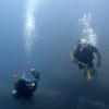 Picture taken during the dive