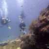Picture taken during the dive