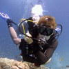 Picture taken during the dive