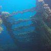 Picture taken during the dive
