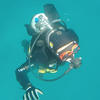 Picture taken during the dive