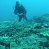Picture taken during the dive
