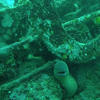 Picture taken during the dive