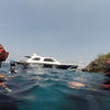 Picture taken during the dive