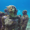 Picture taken during the dive