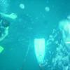Picture taken during the dive