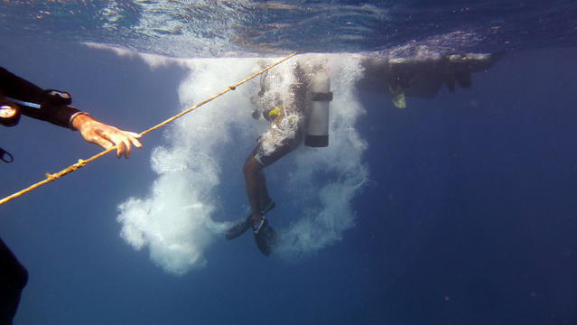 Tranquility Island Resort - Dive Center in Vanuatu