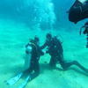Picture taken during the dive