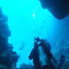 Picture taken during the dive