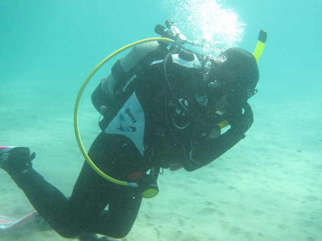 Dive California - Dive Center in United States