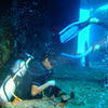 Picture taken during the dive