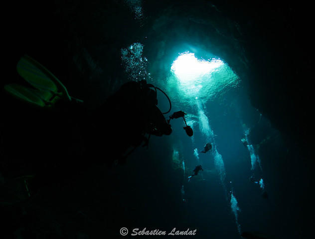 Daktari Surf & Dive - Dive Center in Australia