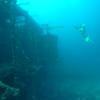 Picture taken during the dive