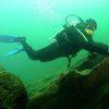 Picture taken during the dive