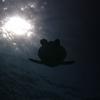 Picture taken during the dive