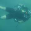 Picture taken during the dive