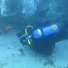Picture taken during the dive