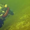 Picture taken during the dive