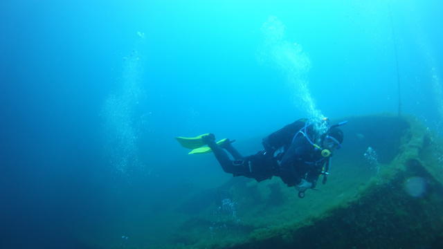 Dolphin's Diving Lloret De Mar - Dive Center in Spain