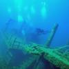 Picture taken during the dive