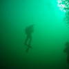 Picture taken during the dive