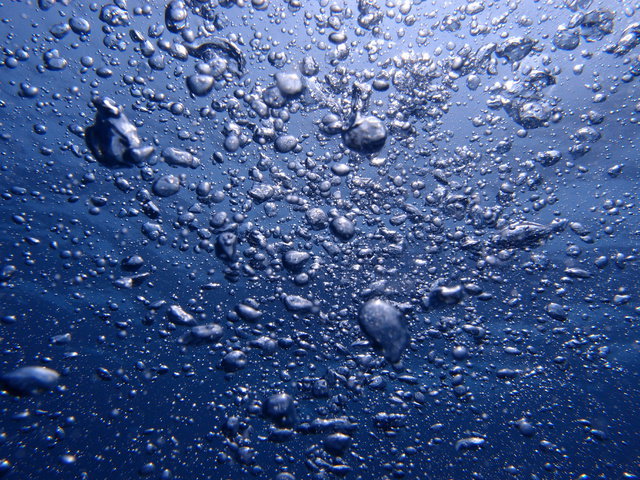 Exclusive Divers Algarve - Dive Center in Portugal