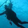 Picture taken during the dive