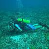 Picture taken during the dive