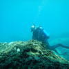 Picture taken during the dive