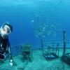 Picture taken during the dive