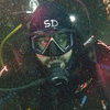 Picture taken during the dive