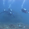 Picture taken during the dive