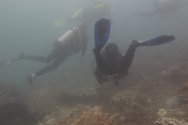 Dive! Dive! Dive! Con Dao - Dive Center in Viet Nam