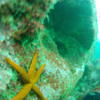Picture taken during the dive