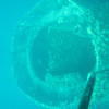 Picture taken during the dive
