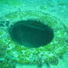 Picture taken during the dive