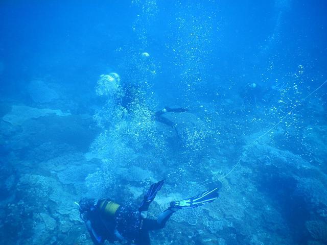 Coral Divers - Dive Center in South Africa