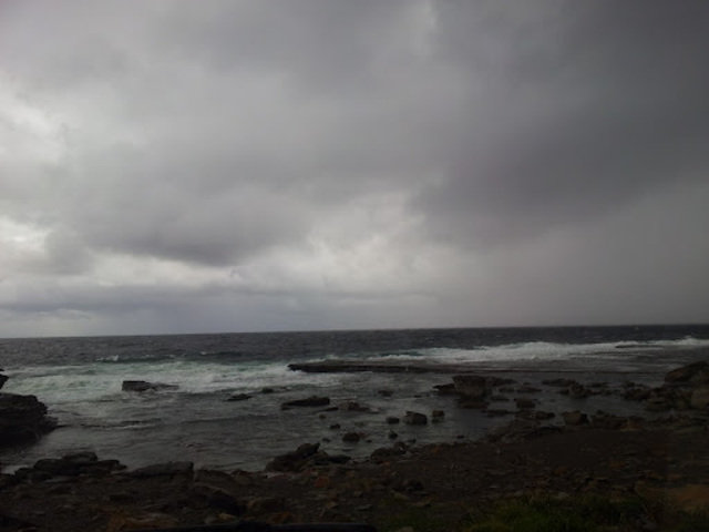 Pro Dive Central Coast Pty Ltd - Dive Center in Australia