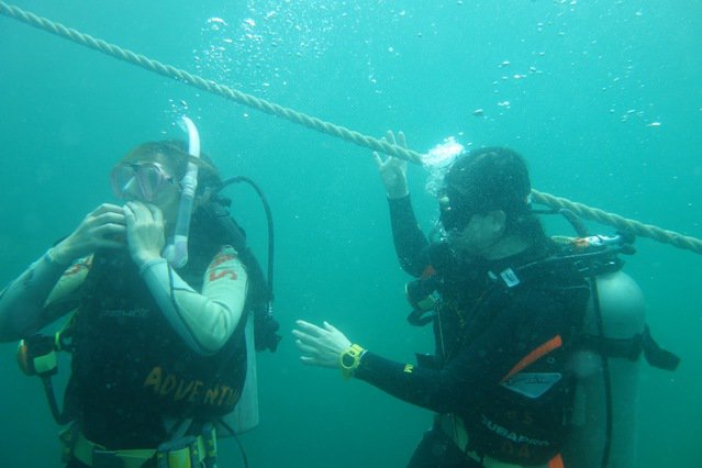 Diving Adventure Limited - Dive Center in Hong Kong