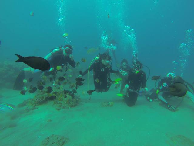 Diver's Sanctuary - Dive Center in Philippines
