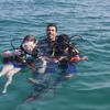 Picture taken during the dive