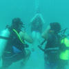 Picture taken during the dive