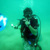 Picture taken during the dive
