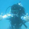 Picture taken during the dive