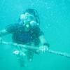 Picture taken during the dive