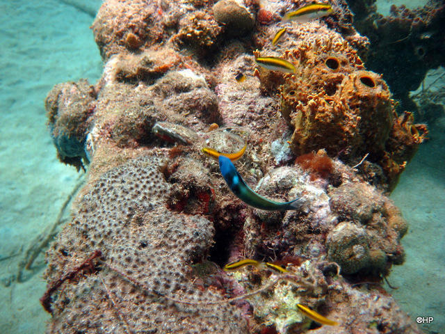 Akuasports - Dive Center in United States