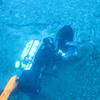 Picture taken during the dive