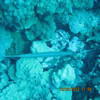 Picture taken during the dive
