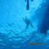 Picture taken during the dive