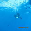 Picture taken during the dive